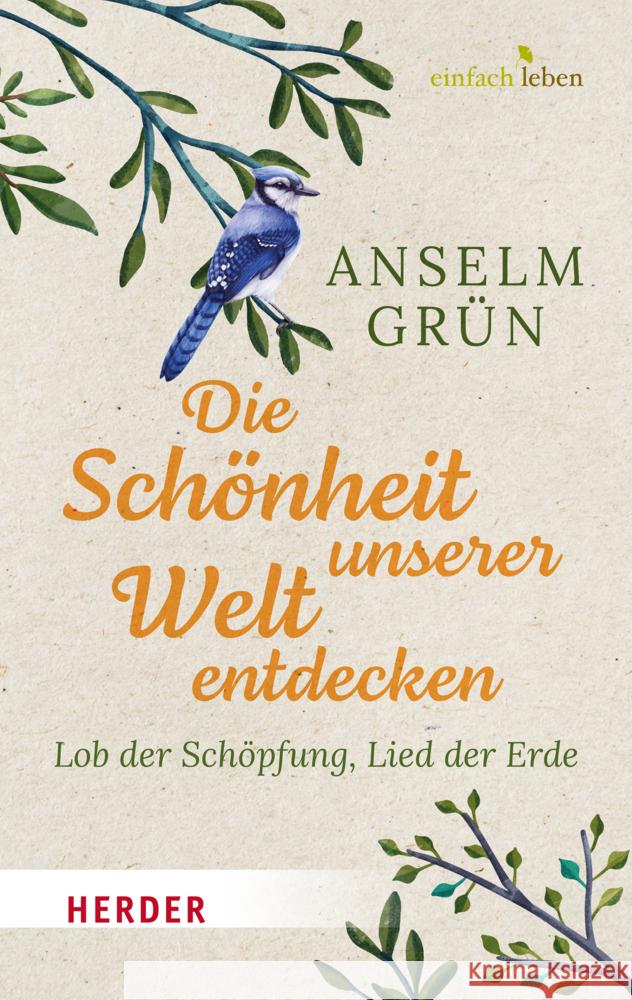 Die Schönheit unserer Welt entdecken Grün, Anselm 9783451008856 Herder, Freiburg - książka