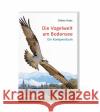 Die Vogelwelt am Bodensee Haas, Dieter 9783797707598 Stadler, Konstanz