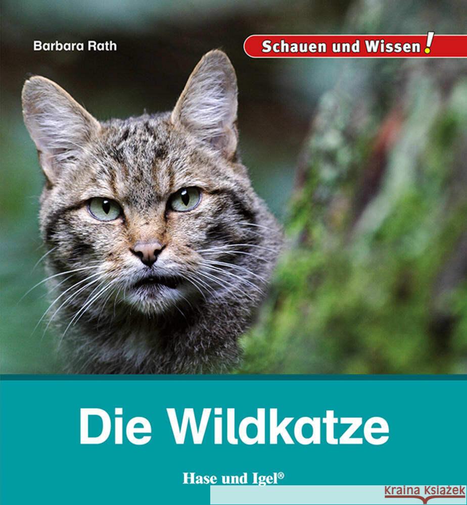 Die Wildkatze Rath, Barbara 9783863164676 Hase und Igel - książka