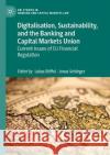 Digitalisation, Sustainability, and the Banking and Capital Markets Union: Thoughts on Current Issues of Eu Financial Regulation Böffel, Lukas 9783031170768 Palgrave MacMillan