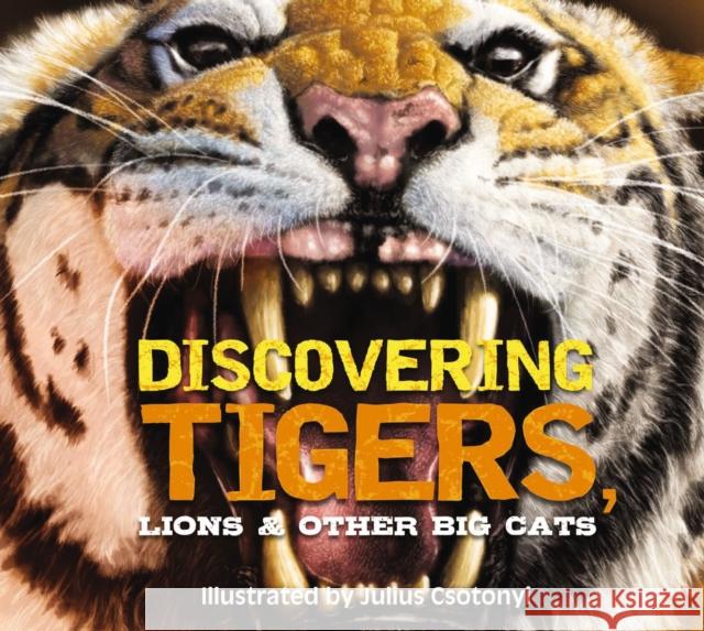 Discovering Tigers, Lions & Other Cats: The Ultimate Handbook to the Big Cats of the World Csotonyi, Julius 9781646432059 Applesauce Press - książka