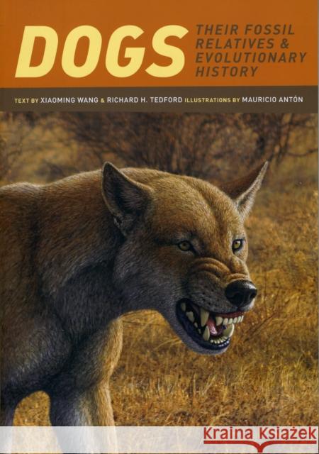 Dogs: Their Fossil Relatives and Evolutionary History Wang, Xiaoming 9780231135290 Columbia University Press - książka