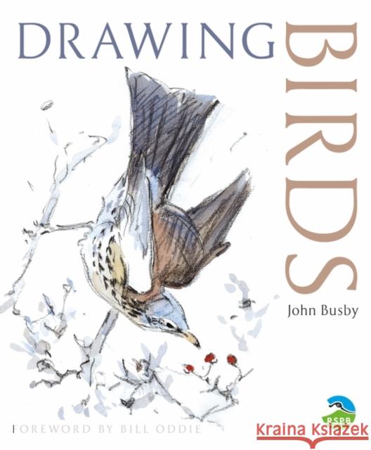 Drawing Birds John Busby, Bill Oddie, Bill Oddie 9780713668162 Bloomsbury Publishing PLC - książka