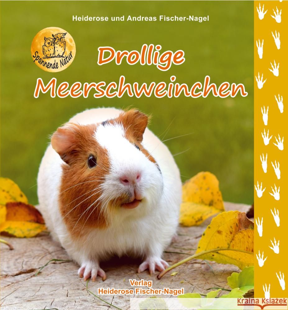Drollige Meerschweinchen Fischer-Nagel, Heiderose; Fischer-Nagel, Andreas 9783930038893 Fischer-Nagel - książka