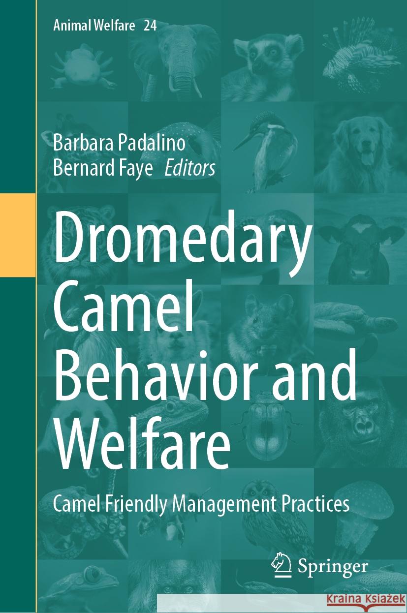 Dromedary Camel Behavior and Welfare: Camel Friendly Management Practices Barbara Padalino Bernard Faye 9783031485992 Springer - książka