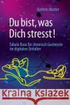 Du Bist, Was Dich Stresst!: Tabula Rasa Für Chronisch Gestresste Im Digitalen Zeitalter Marter, Kathrin 9783658340605 Springer