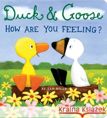 Duck & Goose, How Are You Feeling? Tad Hills Tad Hills 9780375846298 Schwartz & Wade Books - książka