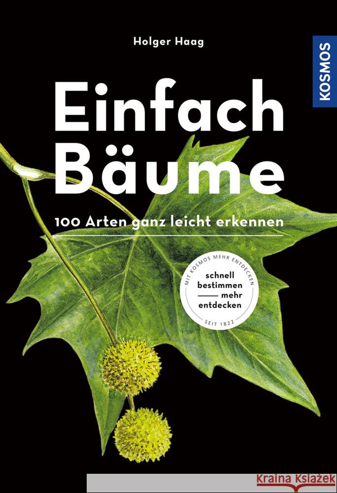Einfach Bäume Haag, Holger 9783440173862 Kosmos (Franckh-Kosmos) - książka
