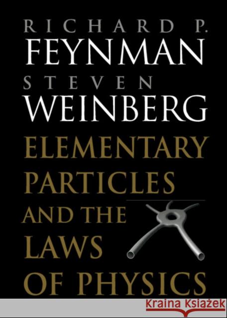 Elementary Particles and the Laws of Physics: The 1986 Dirac Memorial Lectures Feynman, Richard P. 9780521658621 Cambridge University Press - książka