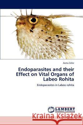 Endoparasites and their Effect on Vital Organs of Labeo Rohita Zafar, Asma 9783847371878 LAP Lambert Academic Publishing - książka