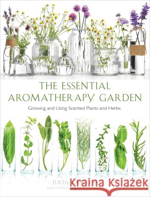 Essential Aromatherapy Garden: Growing and Using Scented Plants and Herbs Lawless, Julia 9781642970067 Hampton Roads Publishing Company - książka