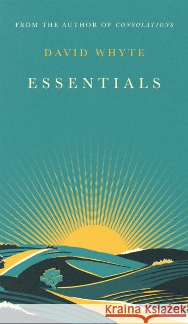 Essentials David Whyte 9781838858124 Canongate Books - książka