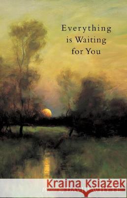 Everything Is Waiting for You David Whyte 9780962152467 Many Rivers Press - książka