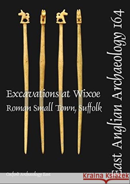 Excavations at Wixoe Roman Small Town, Suffolk Atkins, Rob 9781907588105 East Anglian Archaeology Monograph - książka