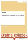 External Habit Formation and Asset Prices Julian Veil 9783346385291 Grin Verlag