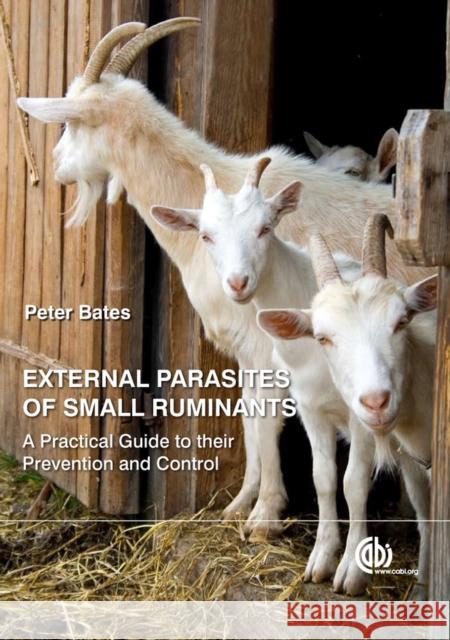 External Parasites of Small Ruminants: A Practical Guide to Their Prevention and Control Bates, Peter 9781845936648  - książka