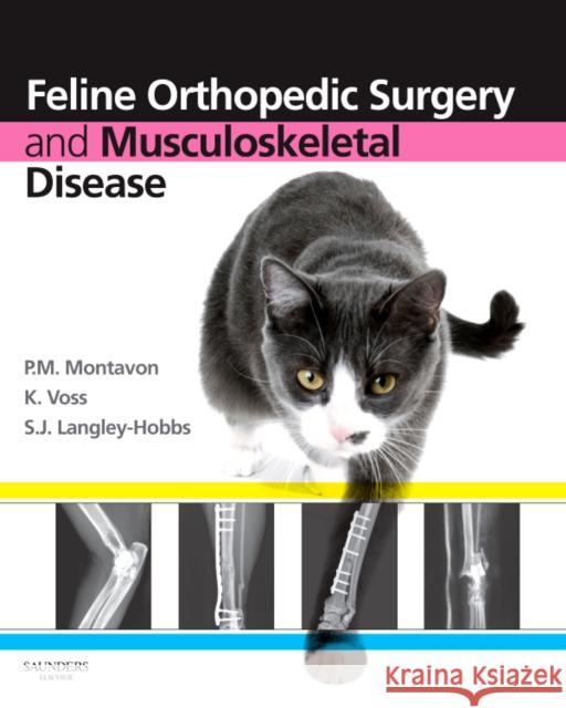 Feline Orthopedic Surgery and Musculoskeletal Disease P M Montavon 9780702029868  - książka