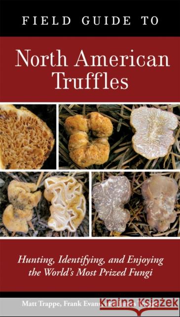 Field Guide to North American Truffles: Hunting, Identifying, and Enjoying the World's Most Prized Fungi Frank Evans Matt Trappe James M. Trappe 9781580088626 Ten Speed Press - książka