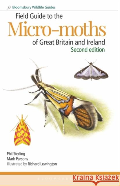 Field Guide to the Micro-moths of Great Britain and Ireland: 2nd edition Mark Parsons 9781472993953 Bloomsbury Publishing PLC - książka