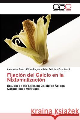 Fijación del Calcio en la Nixtamalización Valor Reed Alma 9783848458189 Editorial Acad Mica Espa Ola - książka