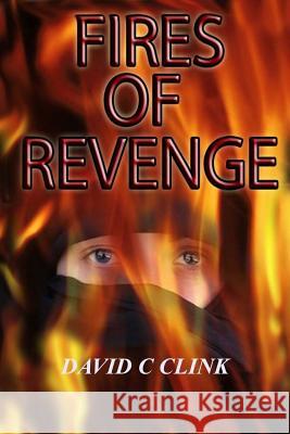 Fires of Revenge MR David C. Clink Mrs Karen a. Clink MR Jason Hart 9781514103814 Createspace - książka