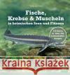 Fische, Krebse & Muscheln in heimischen Seen und Flüssen Hauer, Wolfgang 9783702018979 Stocker