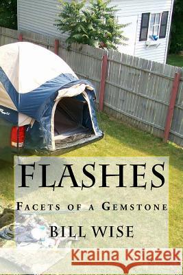 Flashes: Facets of a Gemstone Rose Terranova Cirigliano Bill Wise 9781530658091 Createspace Independent Publishing Platform - książka
