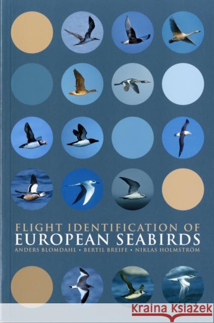 Flight Identification of European Seabirds Anders Blomdahl, Bertil Breife, Niklas Holmstrom 9780713686166 Bloomsbury Publishing PLC - książka