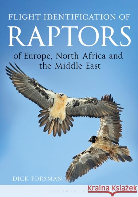 Flight Identification of Raptors of Europe, North Africa and the Middle East Dick Forsman 9781472913616 Bloomsbury Publishing PLC - książka