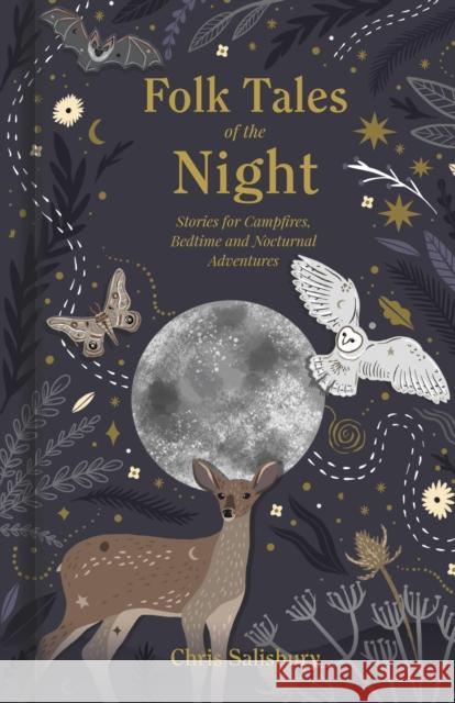Folk Tales of the Night: Stories for Campfires, Bedtime and Nocturnal Adventures Chris Salisbury 9781803990392 The History Press Ltd - książka