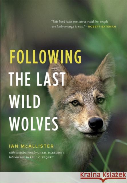 Following the Last Wild Wolves Ian McAllister Paul C. Paquet Chris Darimont 9781553655879 Greystone Books - książka