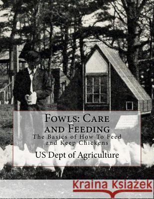 Fowls: Care and Feeding: The Basics of How To Feed and Keep Chickens Chambers, Jackson 9781979672733 Createspace Independent Publishing Platform - książka