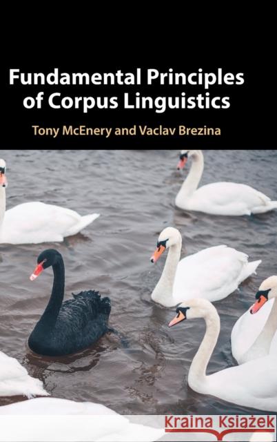 Fundamental Principles of Corpus Linguistics McEnery Tony McEnery 9781107046696 Cambridge University Press - książka