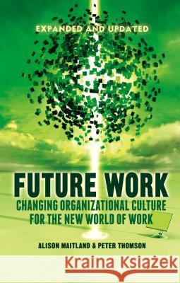 Future Work: Changing Organizational Culture for the New World of Work Maitland, A. 9781137367150 PALGRAVE MACMILLAN - książka