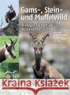 Gams-, Stein- und Muffelwild : Biologie, Lebensweise, Besonderheiten  9783702016265 Stocker