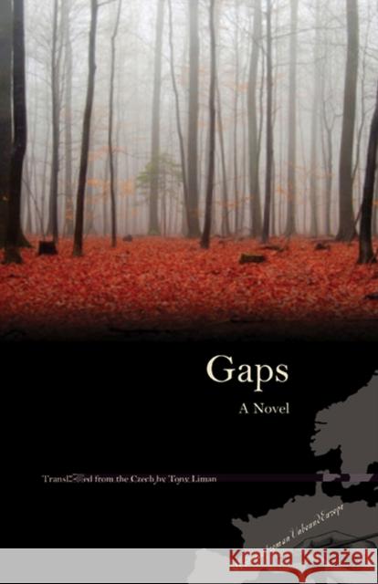 Gaps Bohumil Hrabal Tony Liman 9780810125506 Northwestern University Press - książka