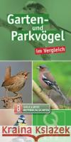 Garten- und Parkvögel im Vergleich, Bestimmungskarten  9783494016108 Quelle & Meyer