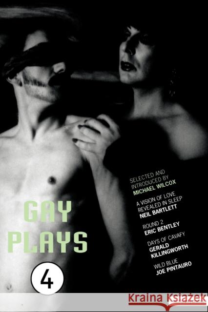 Gay Plays: Vol 4 Various 9780413618900 Reed Tr Ito - książka