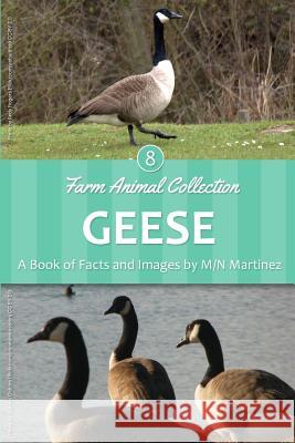 Geese M/N Martinez 9781533358684 Createspace Independent Publishing Platform - książka