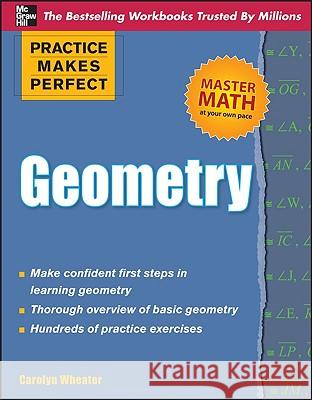 Geometry Wheater, Carolyn 9780071638142  - książka