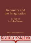 Geometry and the Imagination S. Cohn-Vossen 9781470463021 American Mathematical Society