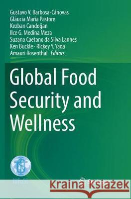 Global Food Security and Wellness Gustavo V. Barbosa-Canovas Glaucia Mari Kezban Candoğan 9781493982189 Springer - książka