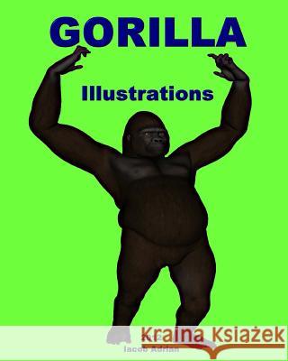 Gorilla Illustrations Iacob Adrian 9781478155751 Createspace - książka