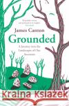 Grounded: A Journey into the Landscapes of Our Ancestors James Canton 9781838855895 Canongate Books
