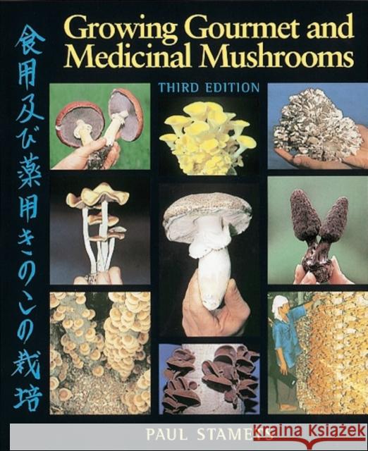 Growing Gourmet and Medicinal Mushrooms Stamets, Paul 9781580081757 Random House USA Inc - książka