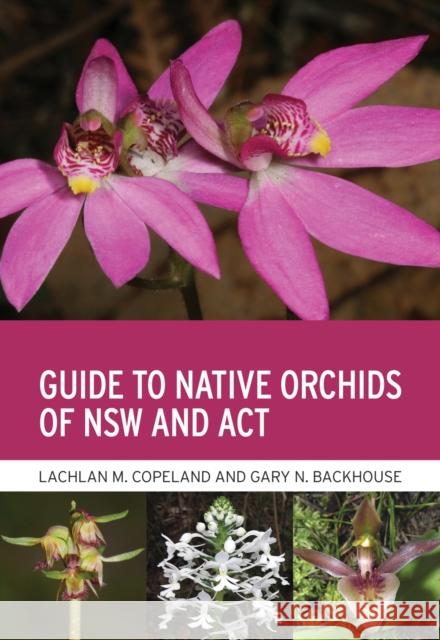 Guide to Native Orchids of Nsw and ACT Copeland, Lachlan M. 9781486313686 CSIRO Publishing - książka