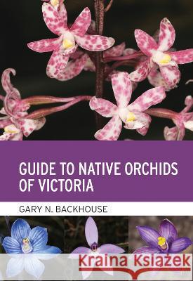 Guide to Native Orchids of Victoria Gary Backhouse   9781486316854 CSIRO Publishing - książka