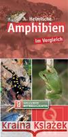 Heimische Amphibien im Vergleich, Bestimmungskarten  9783494016795 Quelle & Meyer