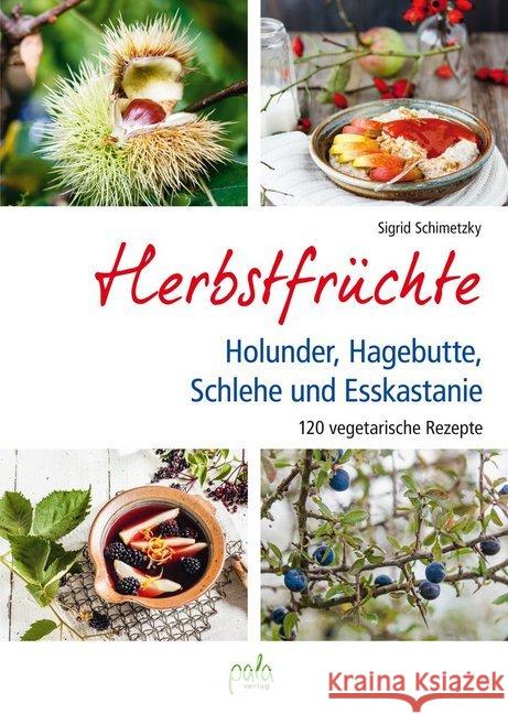 Herbstfrüchte : Holunder, Hagebutte, Schlehe und Esskastanie. 120 vegetarische Rezepte Schimetzky, Sigrid 9783895663789 Pala-Verlag - książka