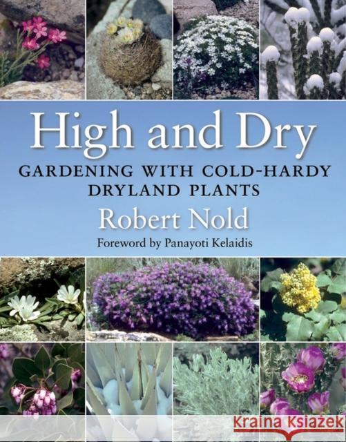 High and Dry: Gardening with Cold-Hardy Dryland Plants Nold, Robert 9781604694475 Timber Press (OR) - książka